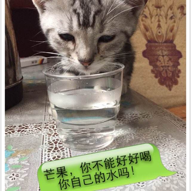 广东发展银行流水电子版PDF哪里有卖